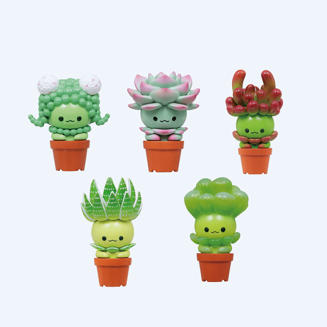 succulent merch Blind Box Succulent Friends