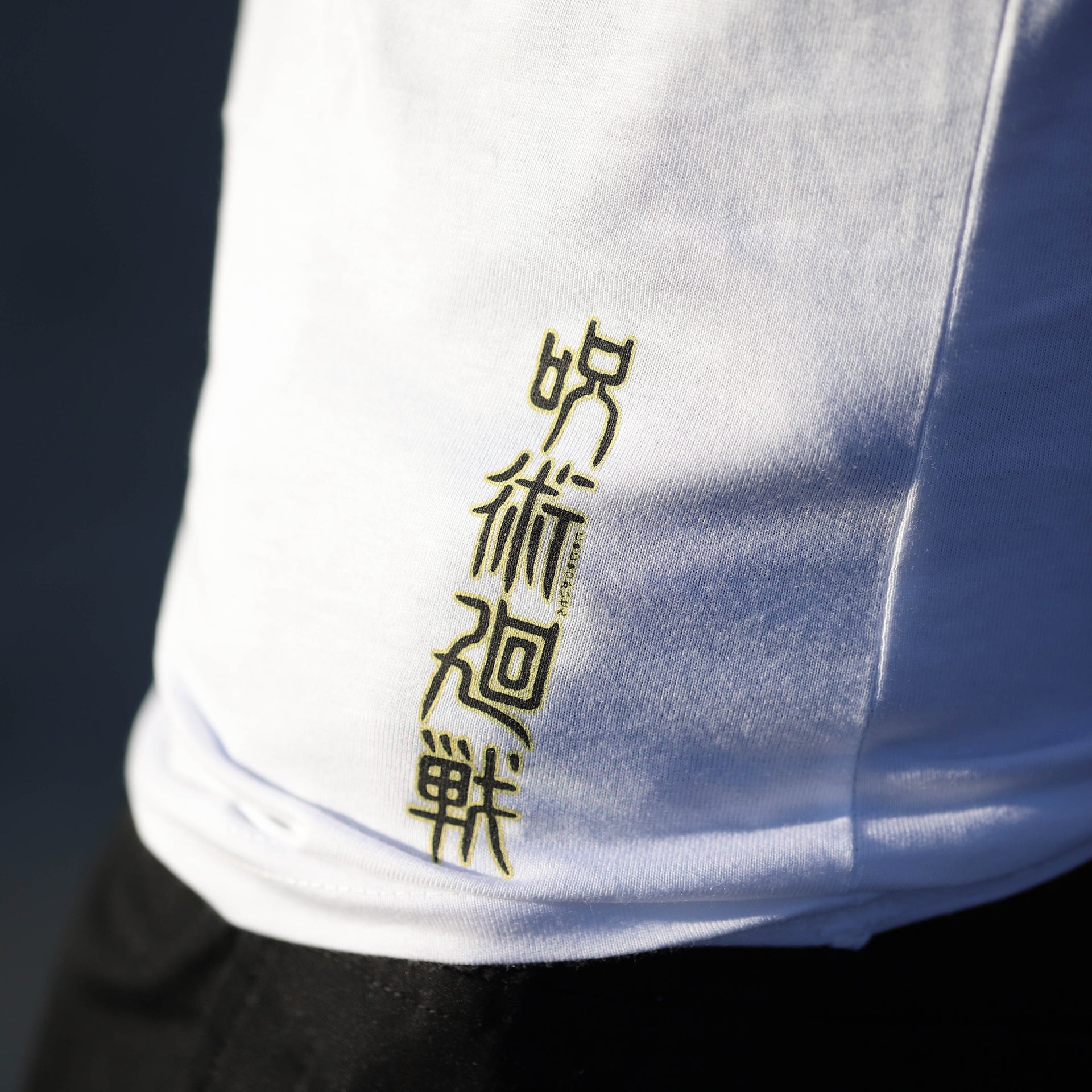 Jujutsu Kaisen Sukuna King of Curses Raglan T-Shirt