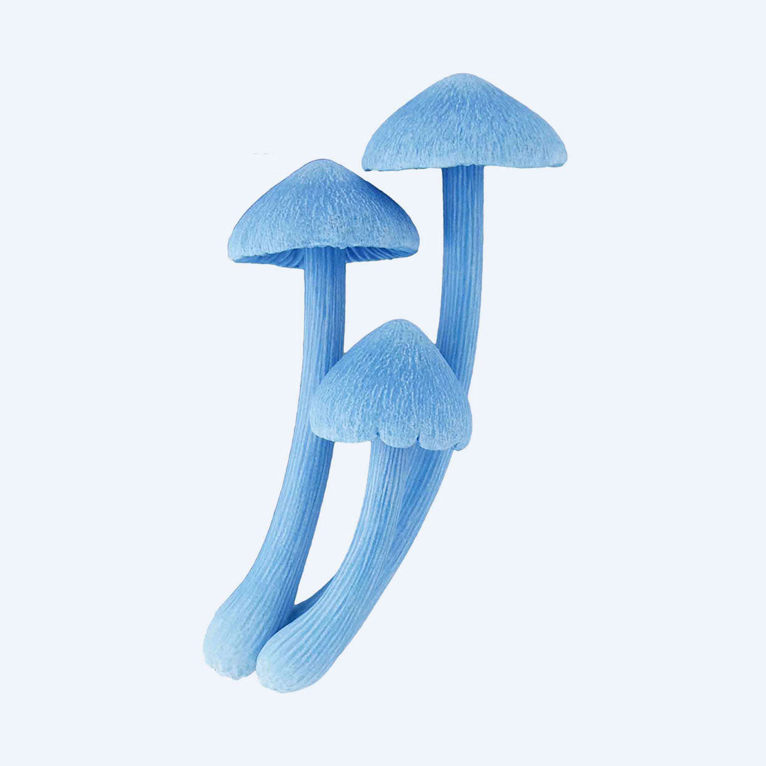 Mushroom Soft Rubber Charm Blind Box