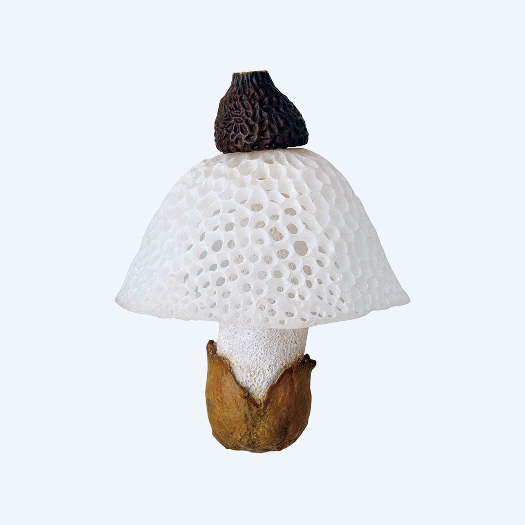 Mushroom Soft Rubber Charm Blind Box