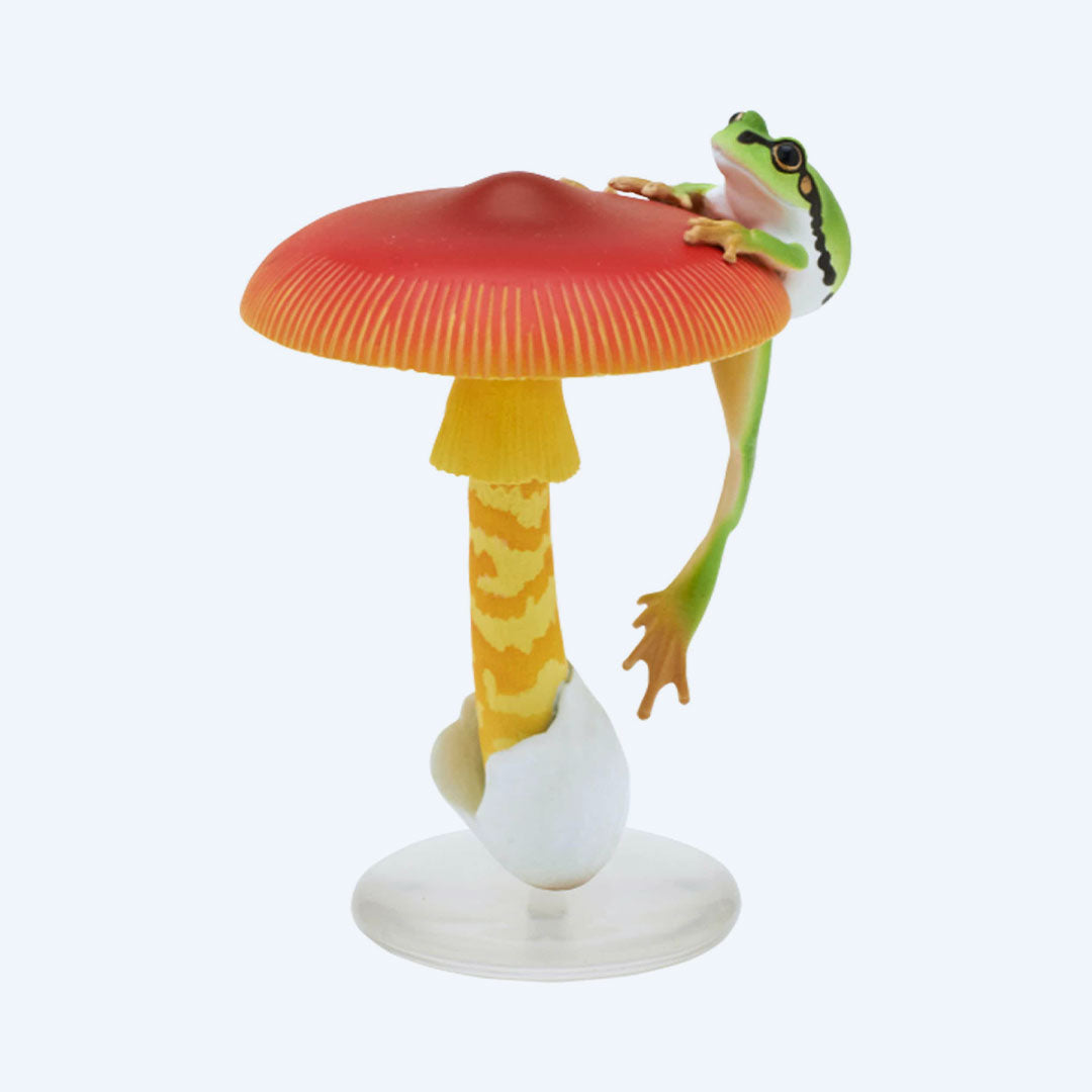 Mushroom and Frog Blind Box Vol.2