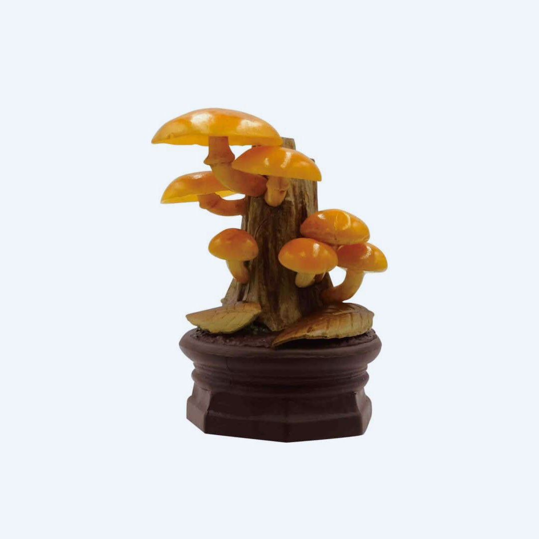 Mushroom Garden Blind Box Version 1