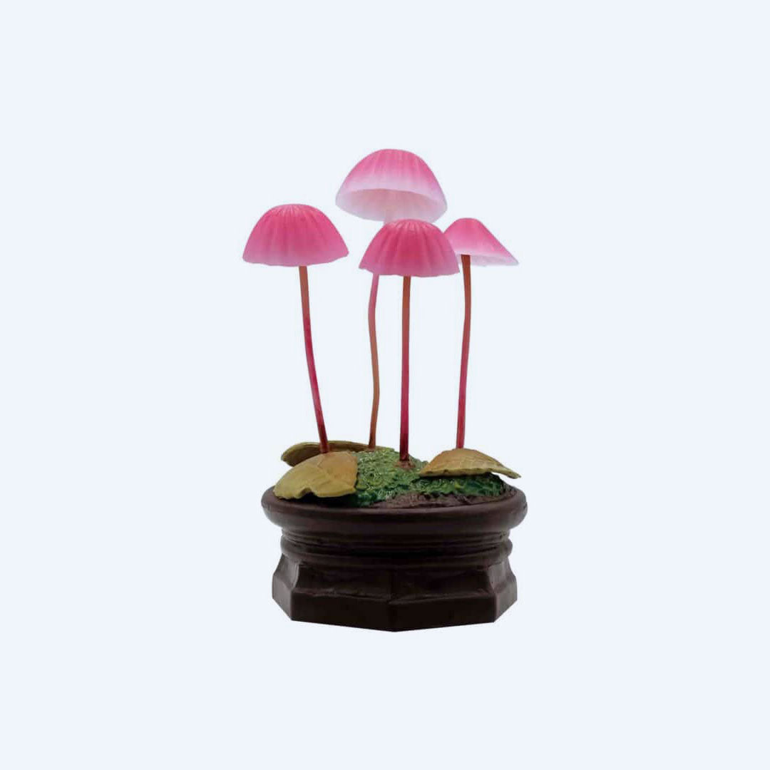 Mushroom Garden Blind Box Version 1