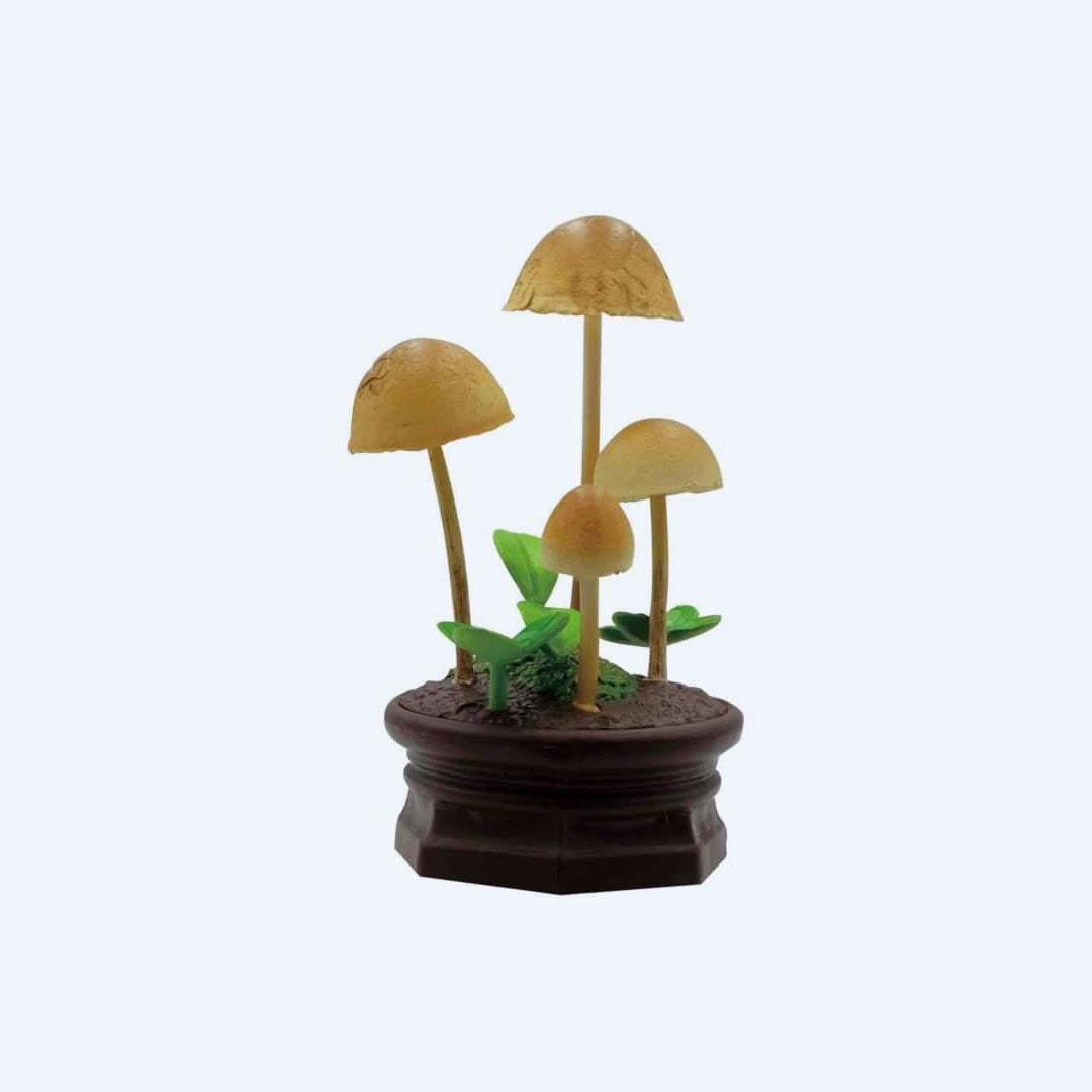Mushroom Garden Blind Box Version 1