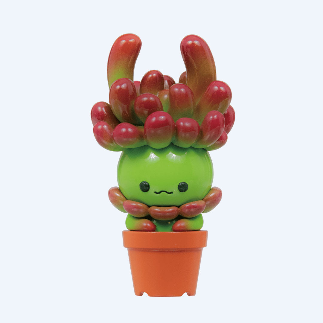 barkbox succulent toy Blind Box Succulent Friends