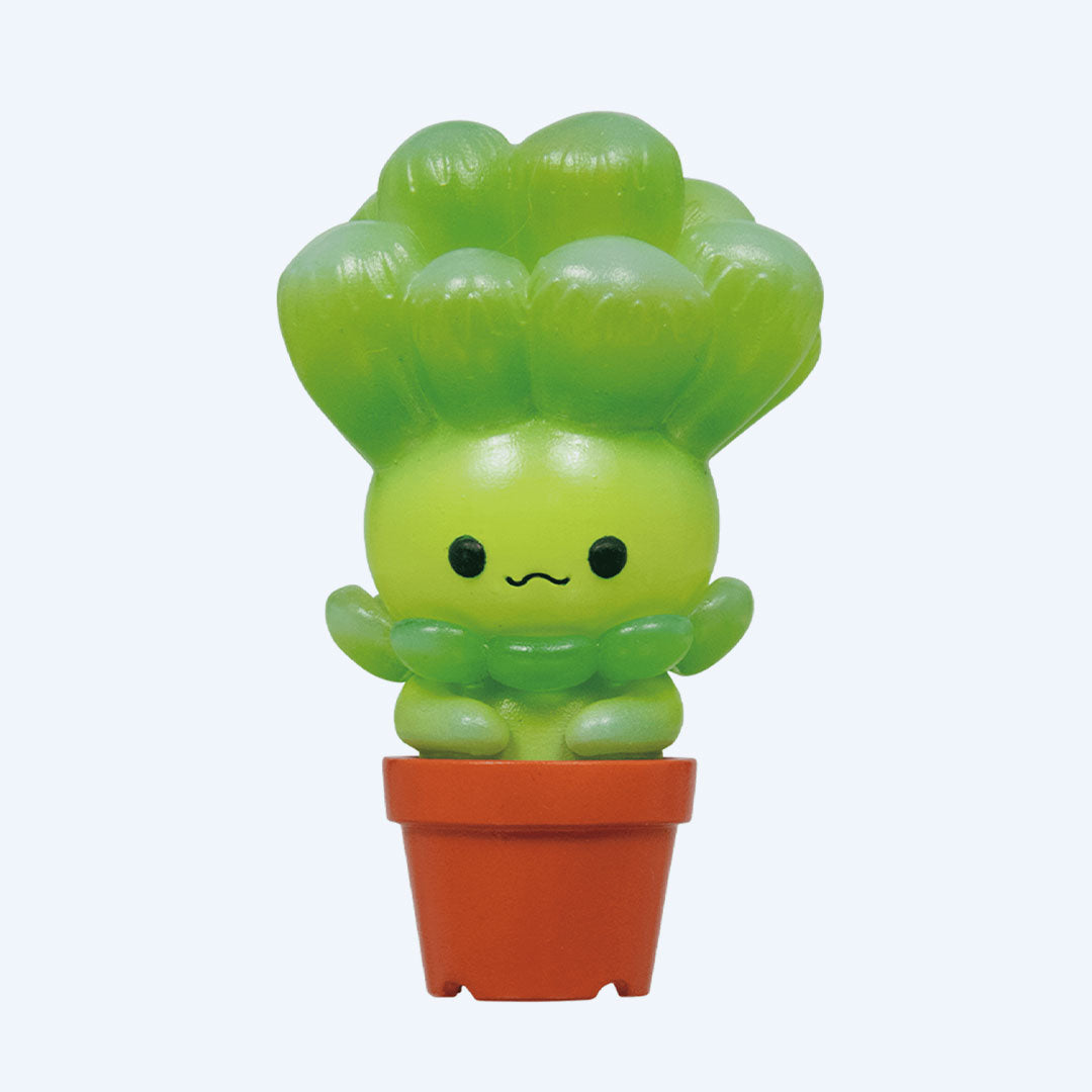 Succulent Friends Blind Box