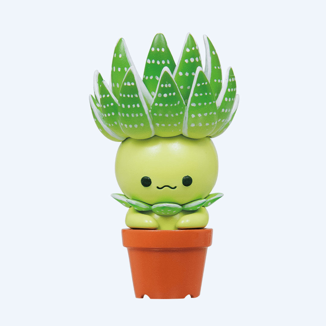 succulent friends Blind Box Succulent Friends