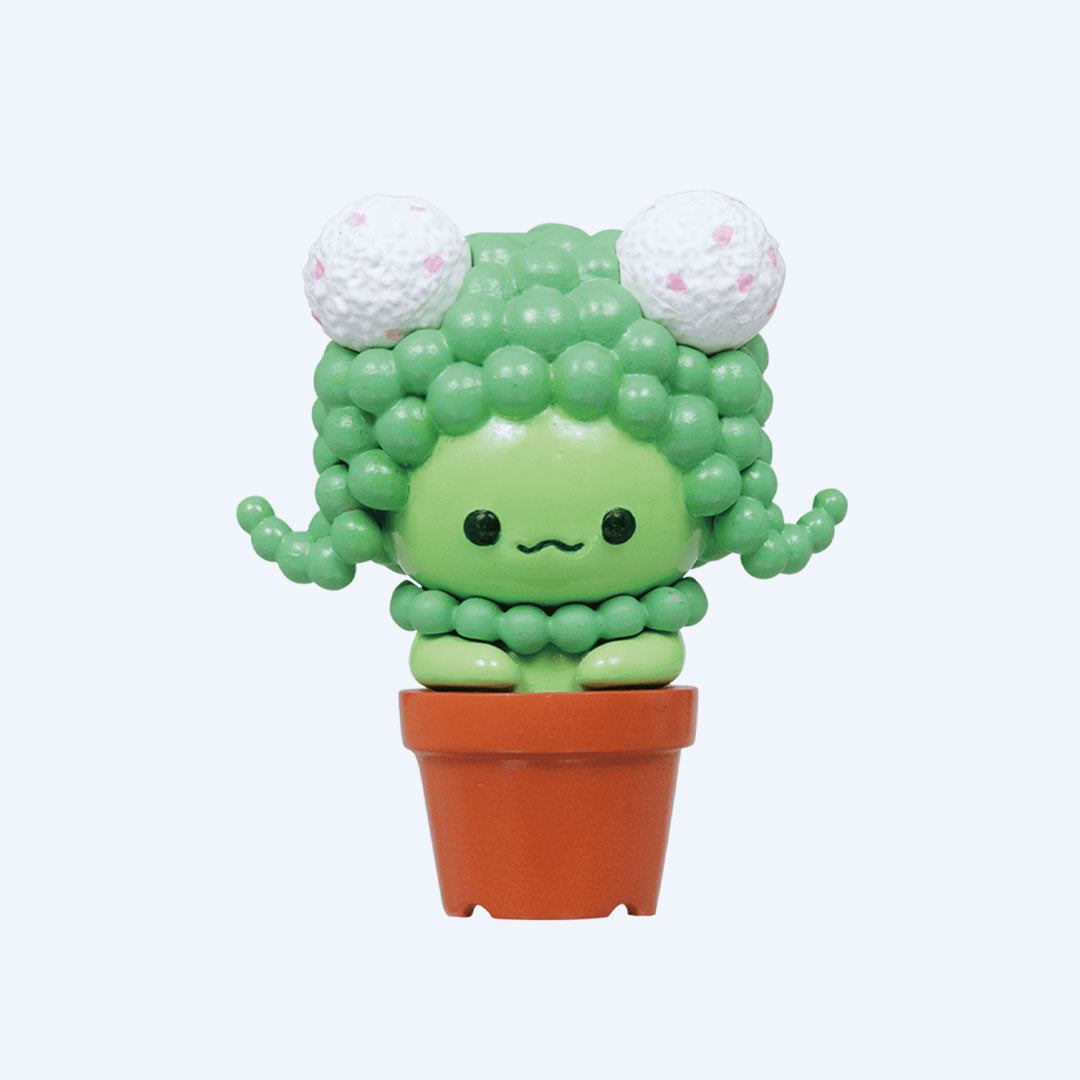 Succulent Friends Blind Box