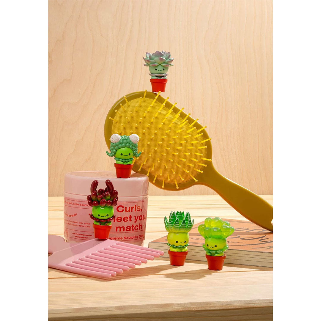 Succulent Friends Blind Box