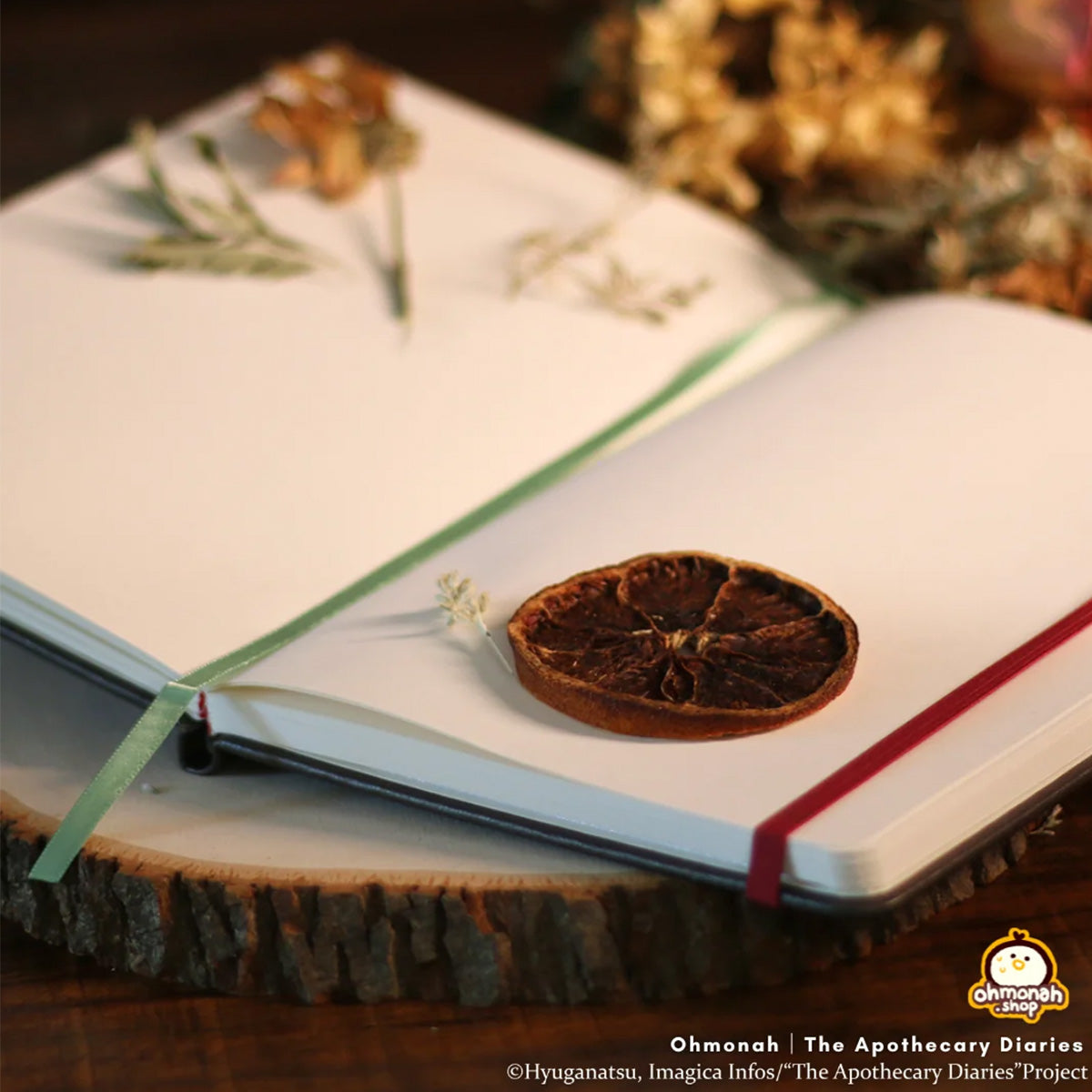 The Apothecary Diaries ohmonah Fatal Flora Sketchbook