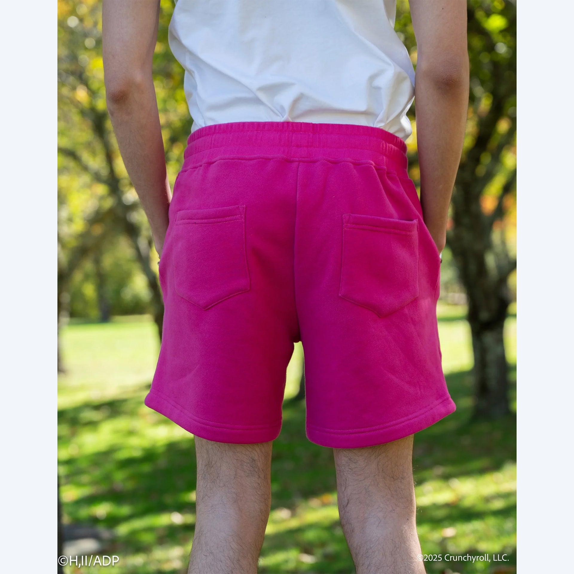 The Apothecary Diaries Maomao Steady Hands Shorts